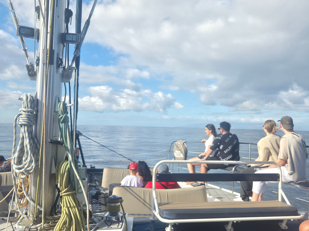 White Tenerife-奥德杰海岸必去景点