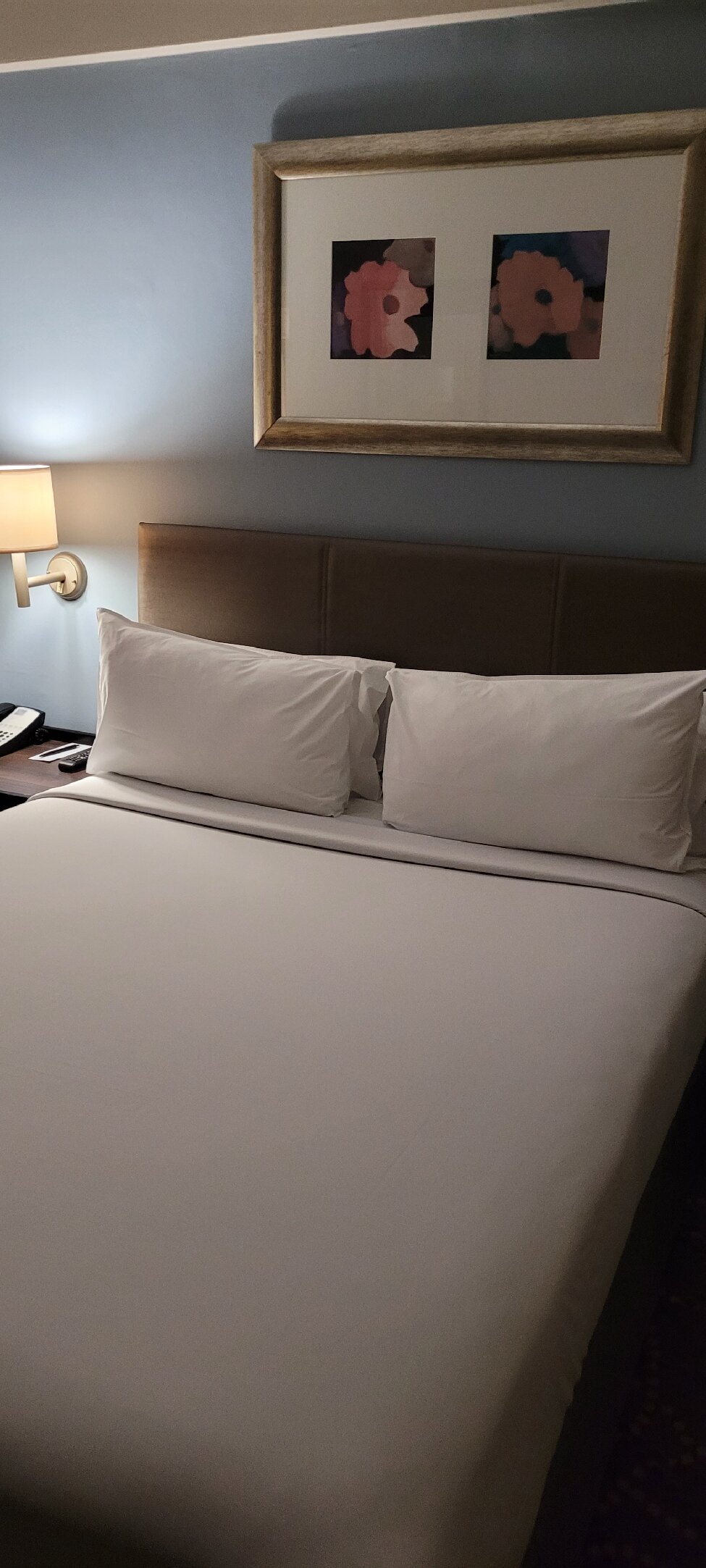 Garden Court South Beach-官方