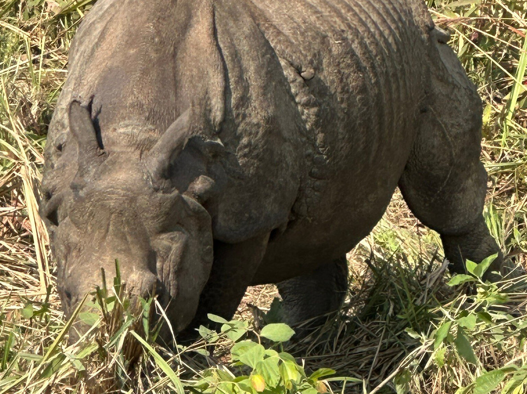 Raj Khadka-苏拉哈必去景点