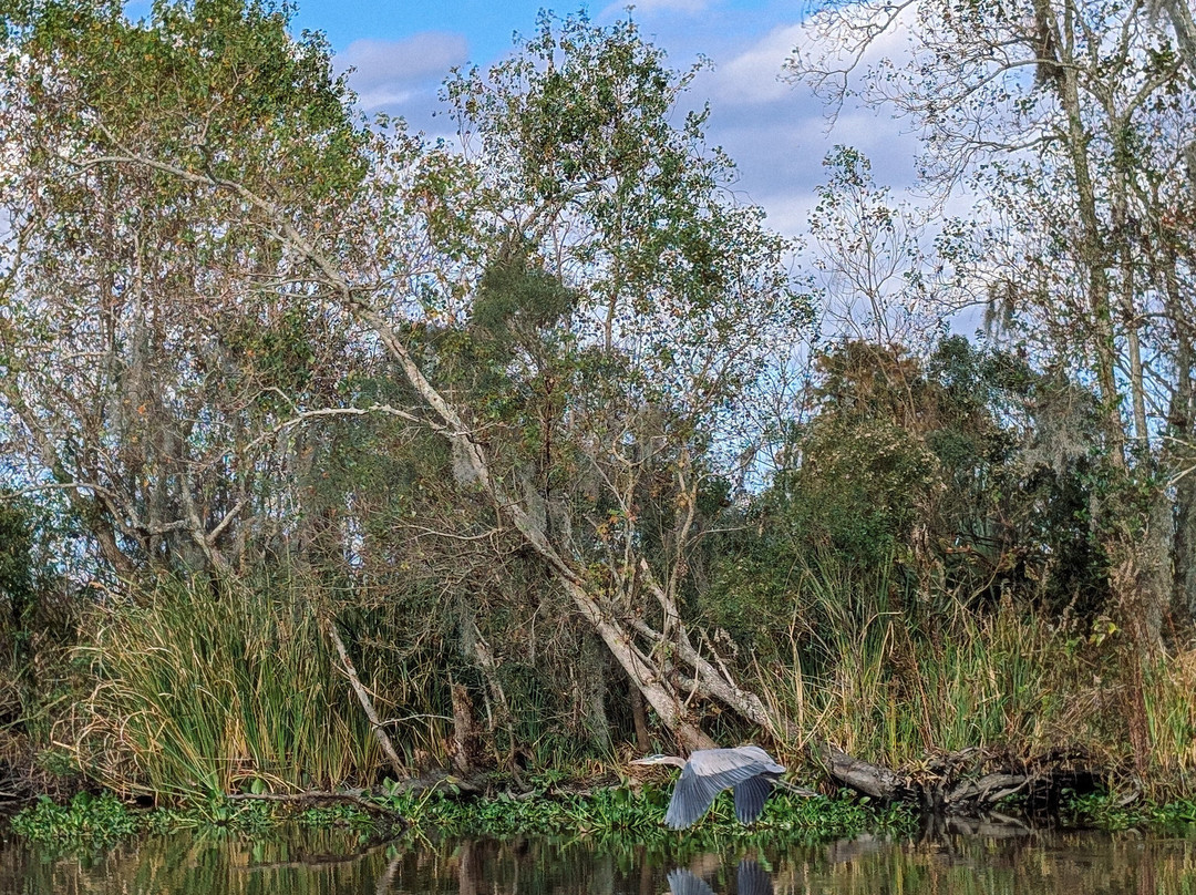 New Orleans Airboat Tours-Marrero必去景点