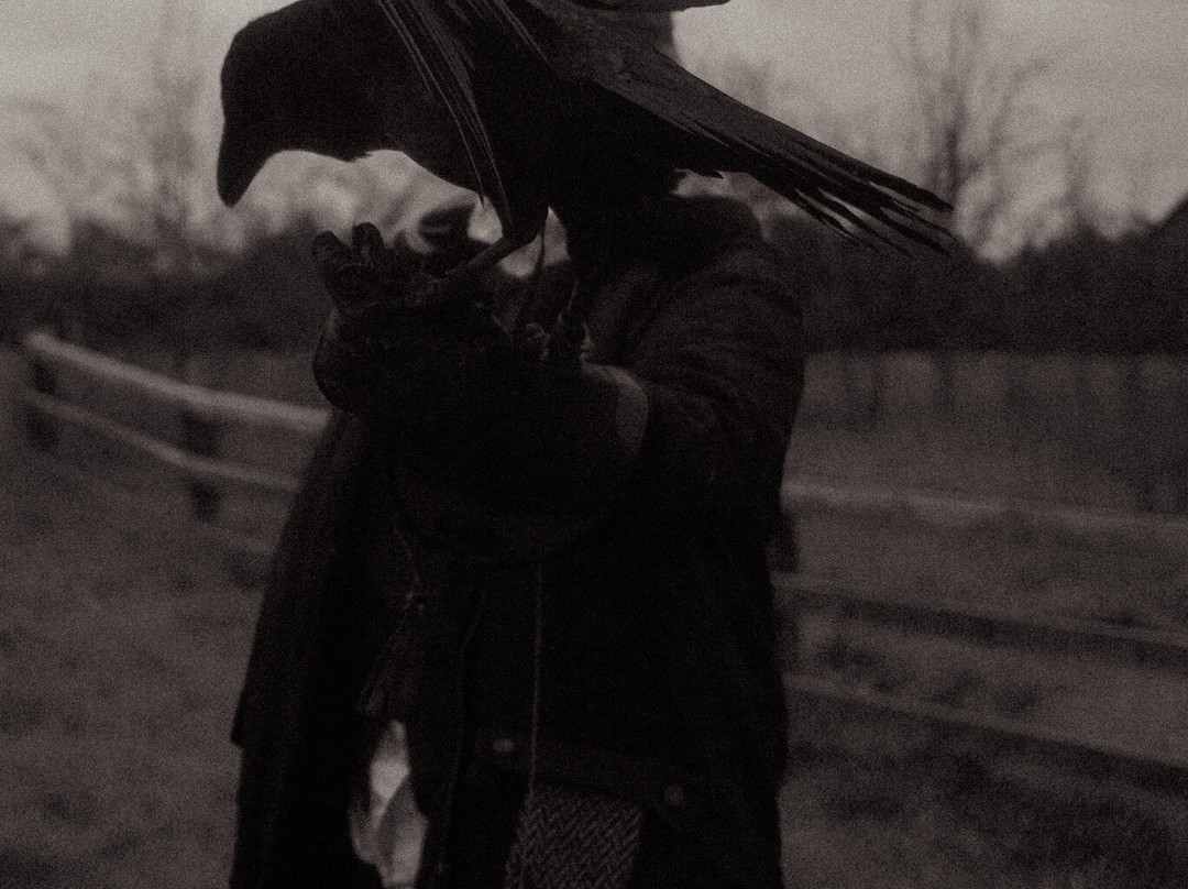 Lavenham Falconry-Monks Eleigh必去景点