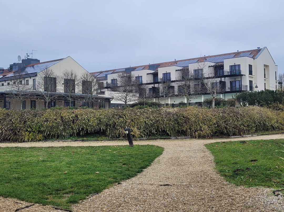 Tisza Balneum Hotel主图