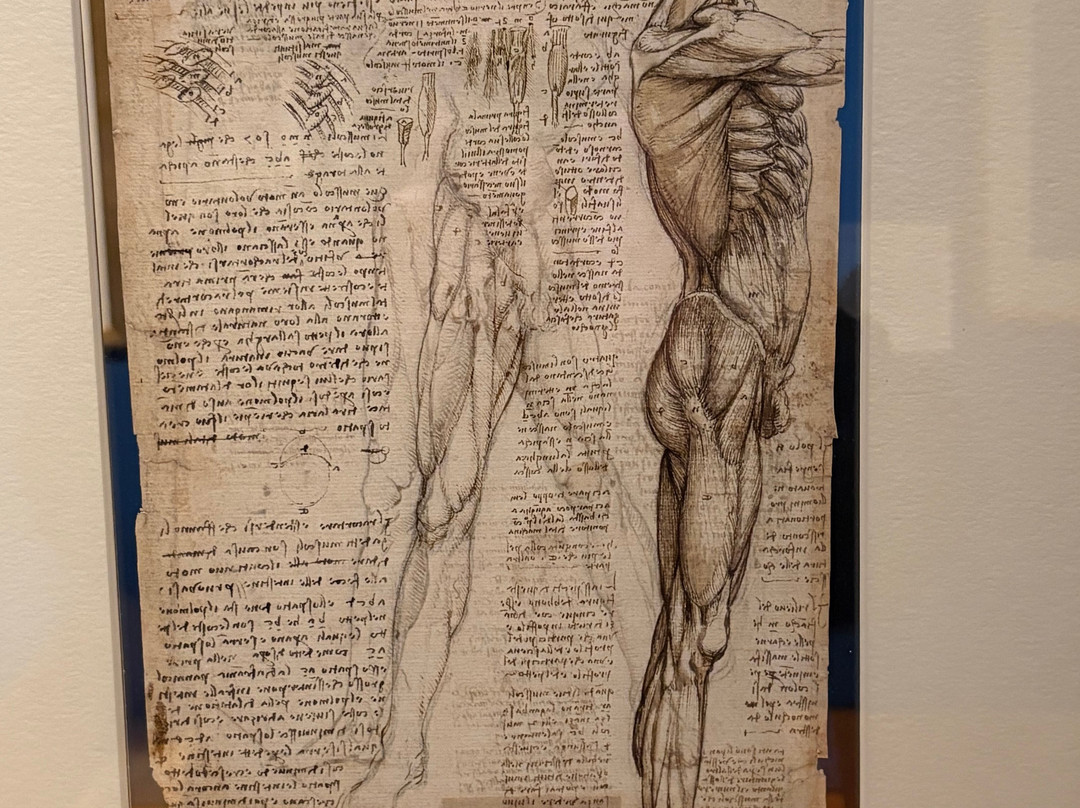 The King's Gallery-爱丁堡必去景点