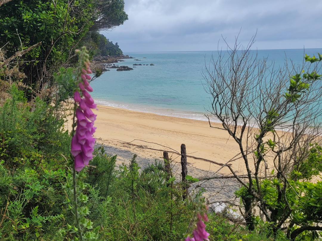 Abel Tasman Guides-玛拉豪必去景点