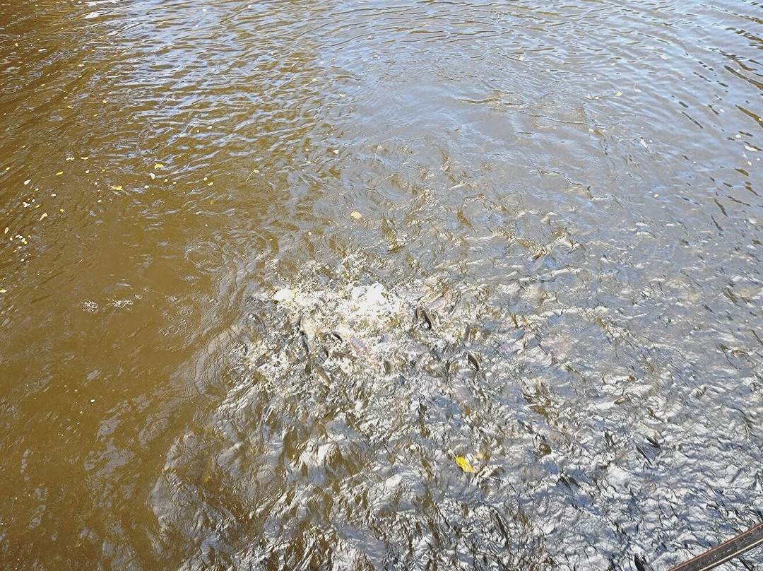 Cha-am Forest Park-七岩必去景点