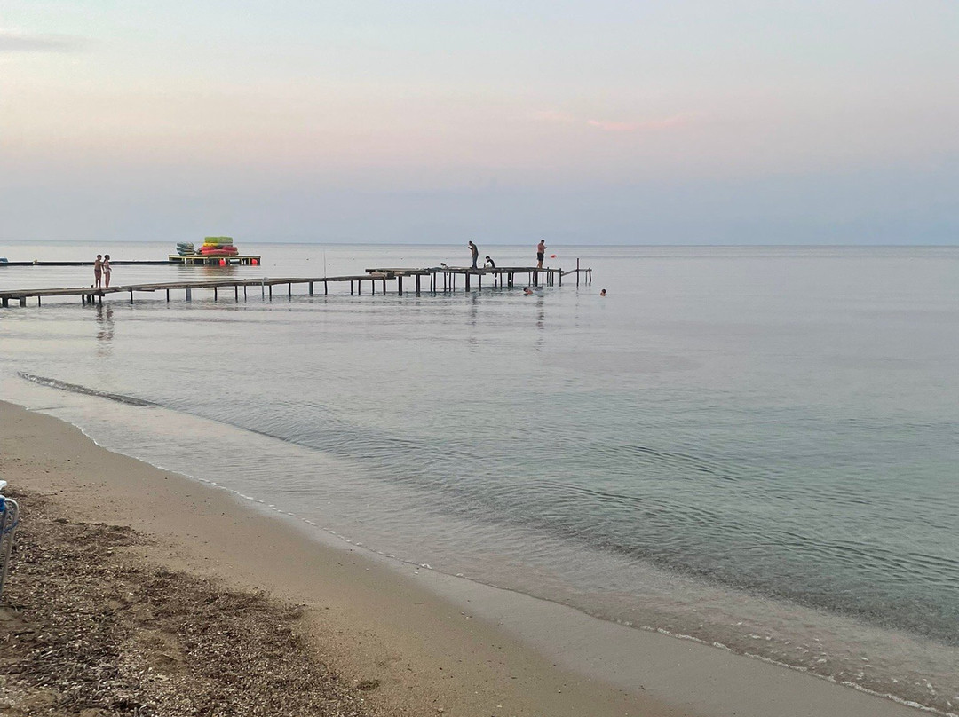 The Olivar Suites主图