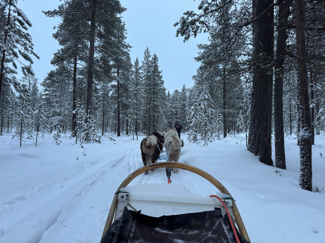 Primitif Aventure-伊瓦洛必去景点