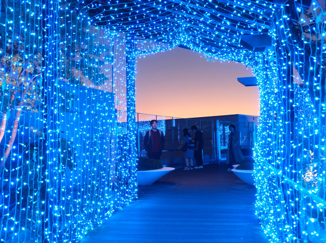 难波公园-大阪市必去景点