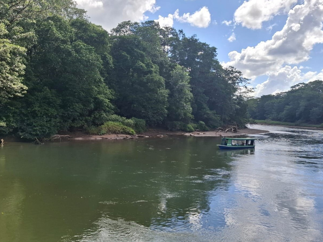 Oasis Nature Tours-Puerto Viejo de Sarapiqui必去景点