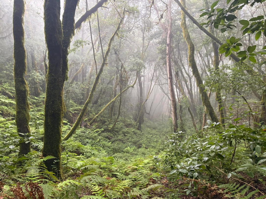 Timah-La Puntilla必去景点