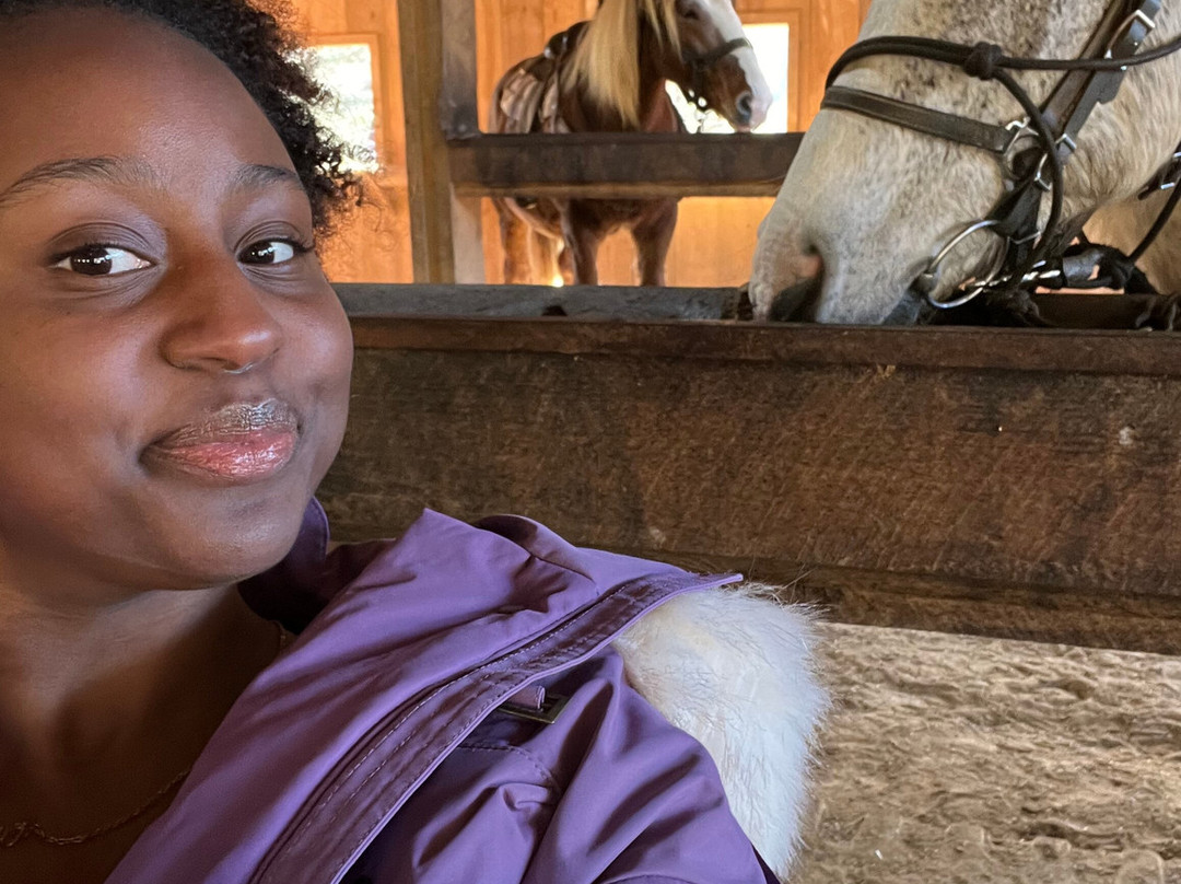 Appalachian Trail Rides-Mineral Bluff必去景点