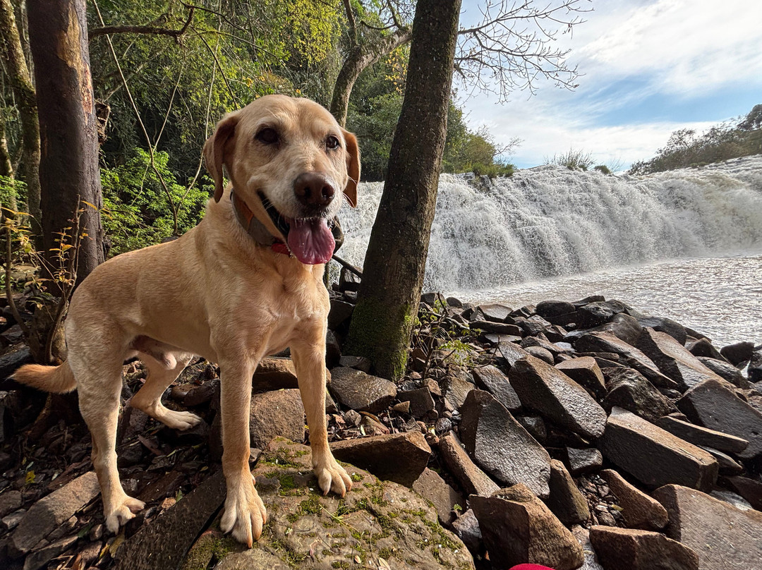 Santa Rita Falls-Estrela必去景点