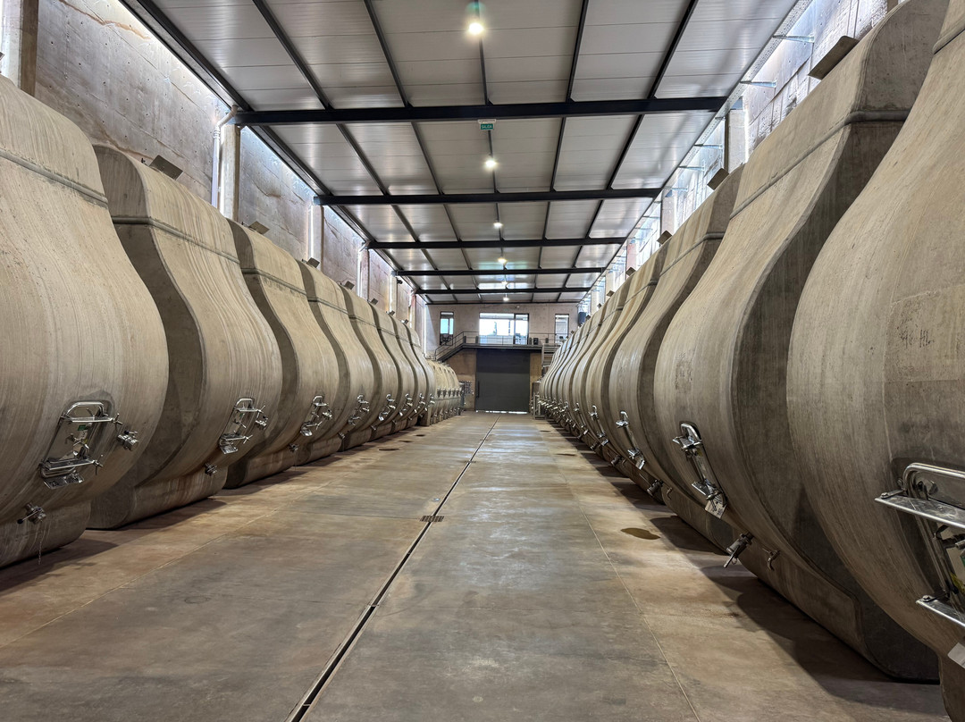 This is Mendoza-门多萨必去景点