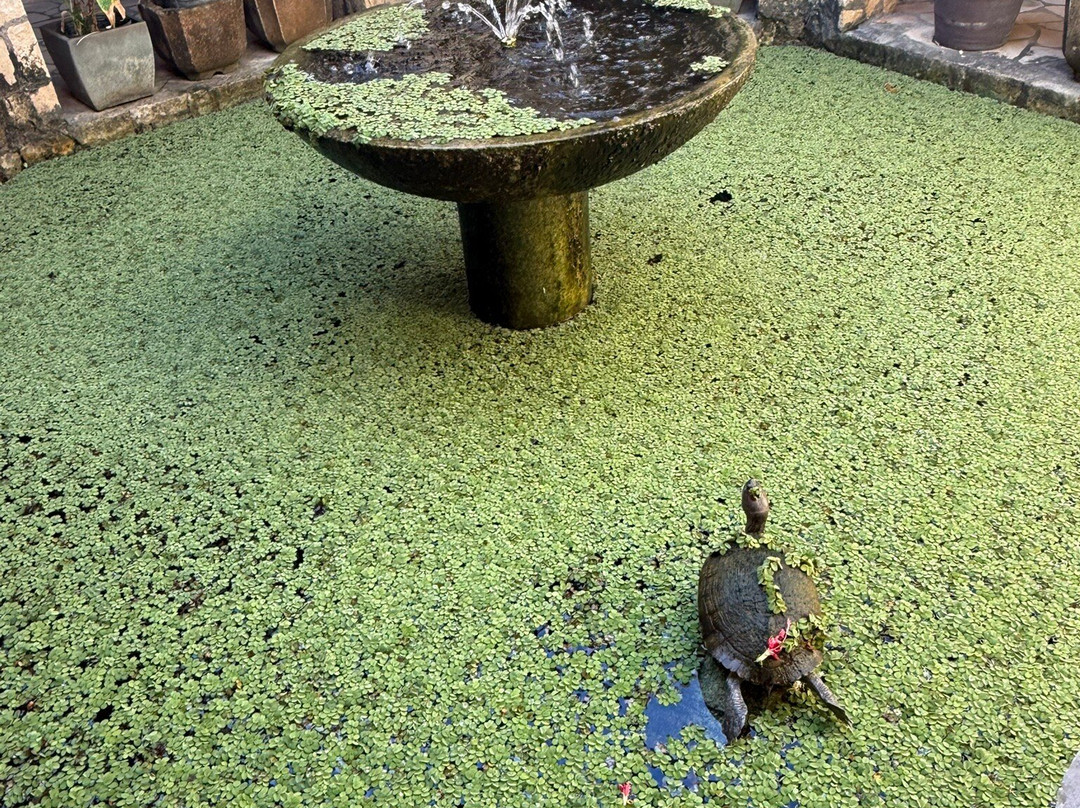 Rockhouse Spa-内格里尔必去景点