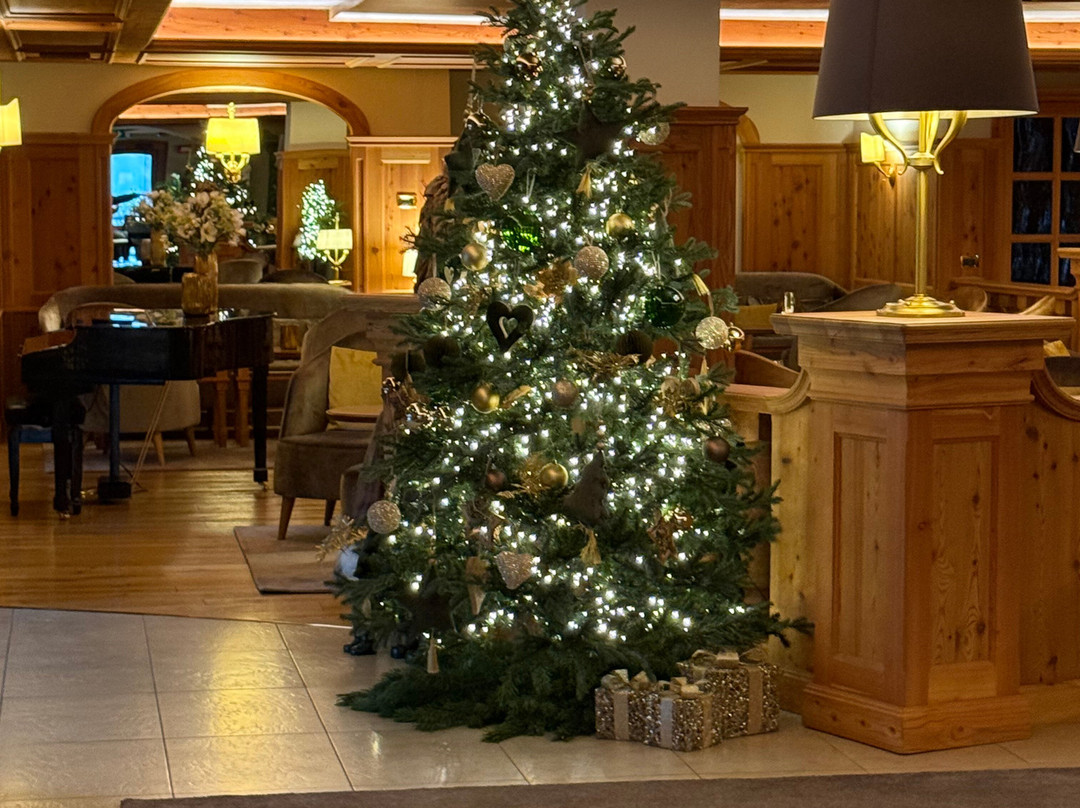 Cerana Relax Hotel主图