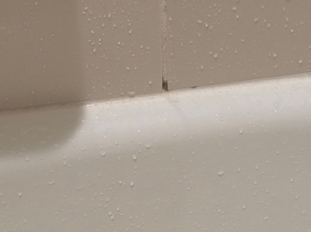 希尔顿伍德布里奇酒店主图