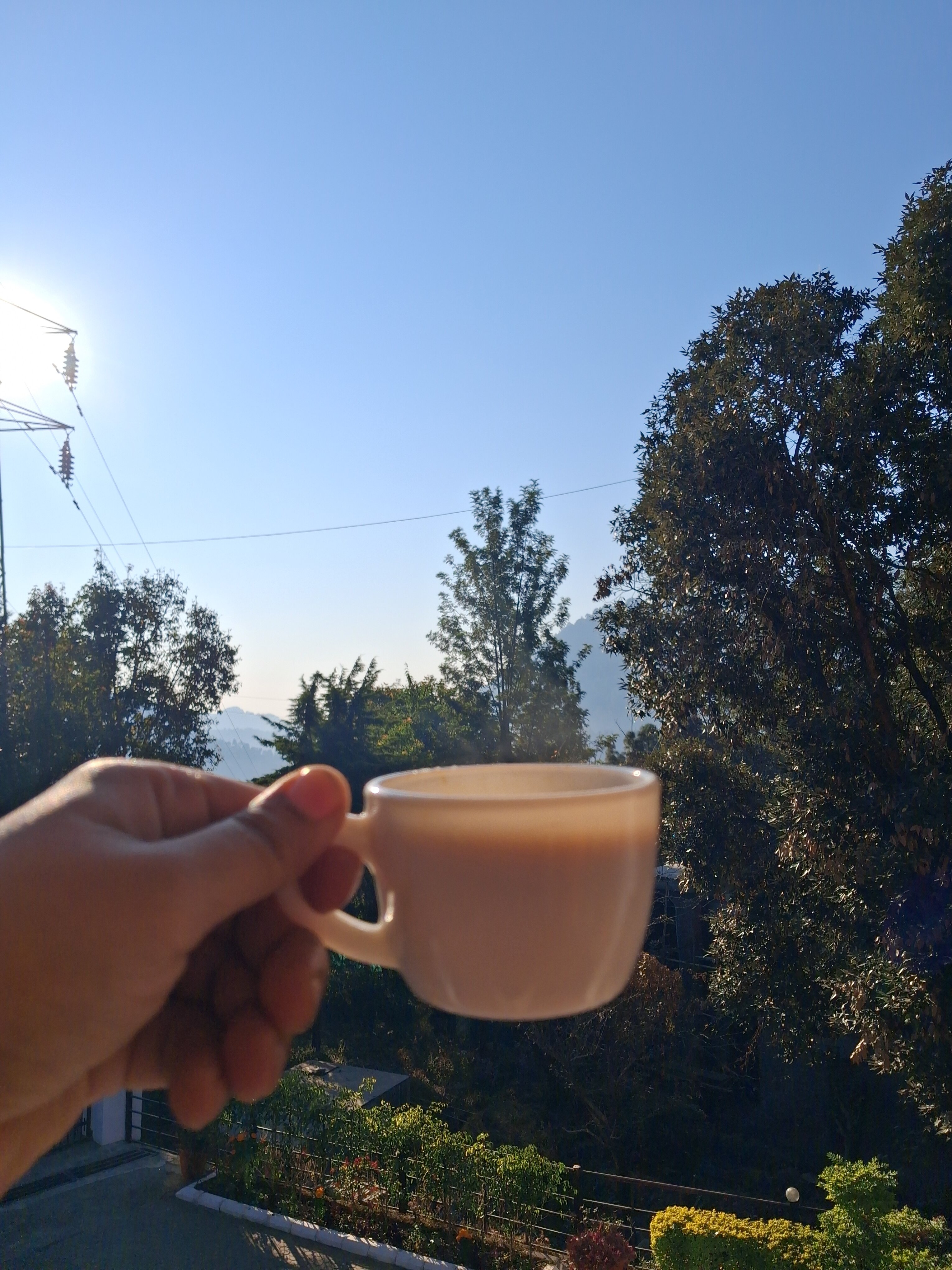 Chirping Hills Resort, Bhimtal-官方