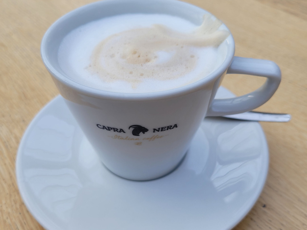 海牙市立博物馆-海牙必去景点