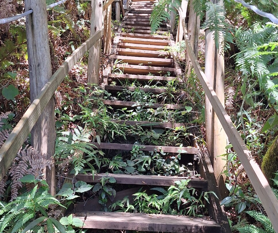 Veu de Noiva Waterfall-Urubici必去景点