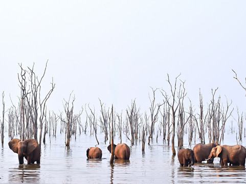 Rare Earth Tours-温德和克必去景点