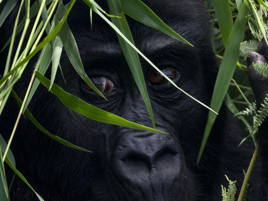 Walking Connection Adventure Travel-格兰岱尔必去景点