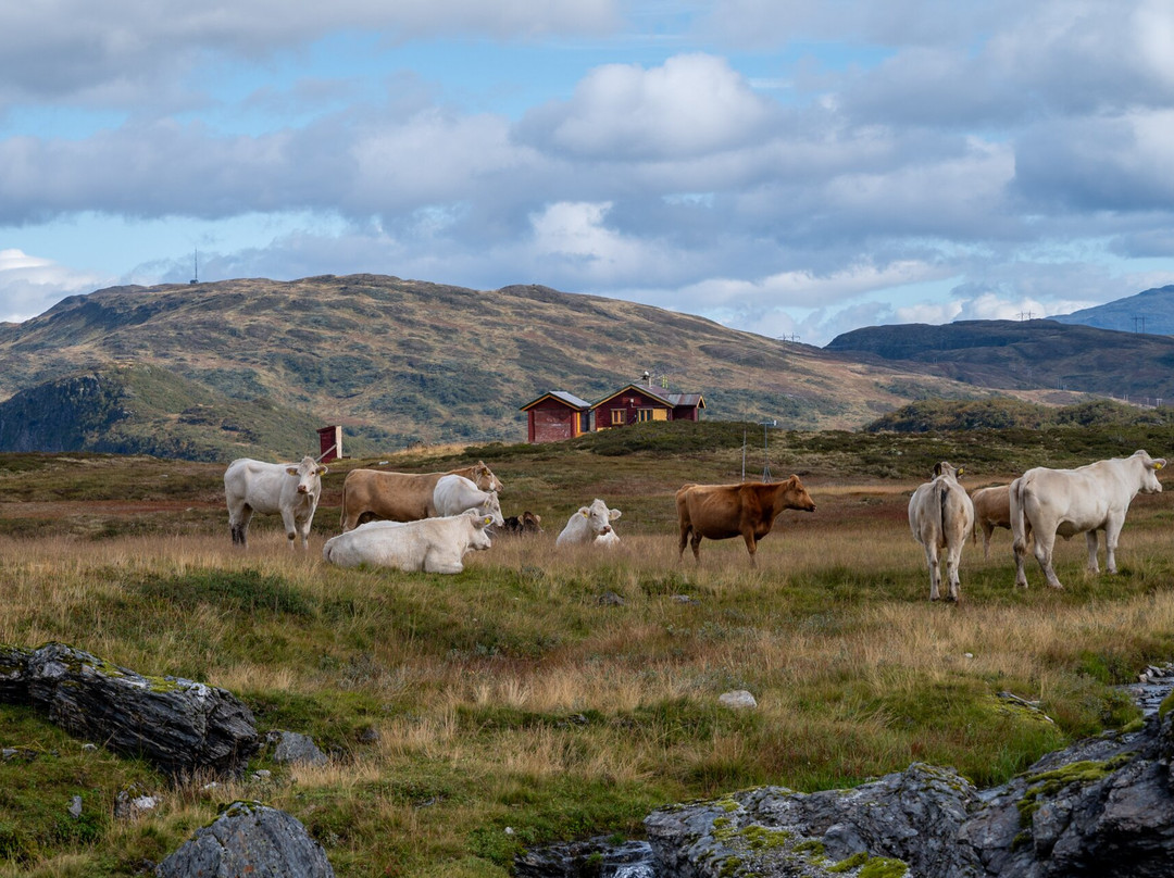 Foto-Wandern.com-Nordhausen必去景点