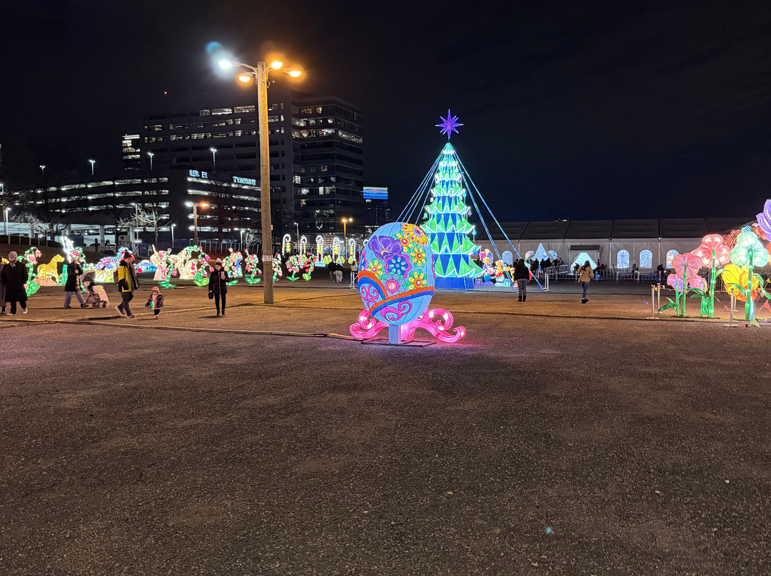 Winter Lantern Festival Washington DC-泰森角必去景点