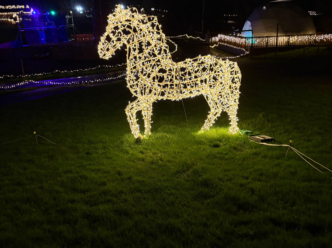 Skypark-Carlingford必去景点