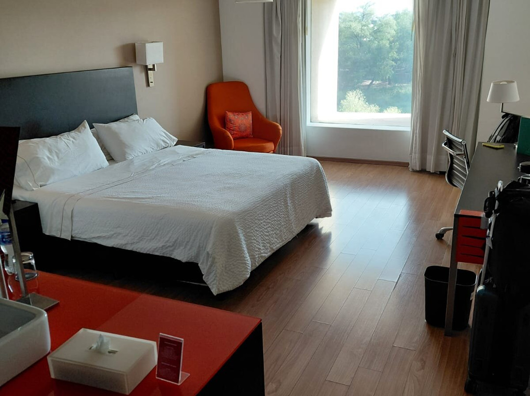 Fiesta Inn Culiacan主图