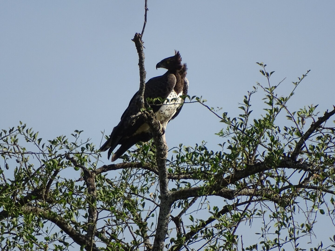 Mount Elgon Trekkers-Kapchorwa必去景点