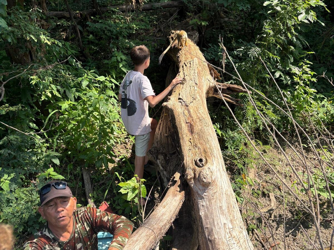 Amazon Rambo Jungle Tours-玛瑙斯必去景点