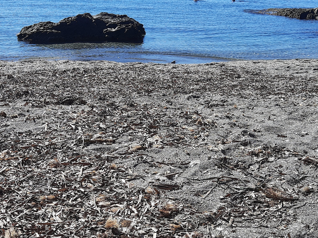 Cala Cristal-Cuevas del Almanzora必去景点