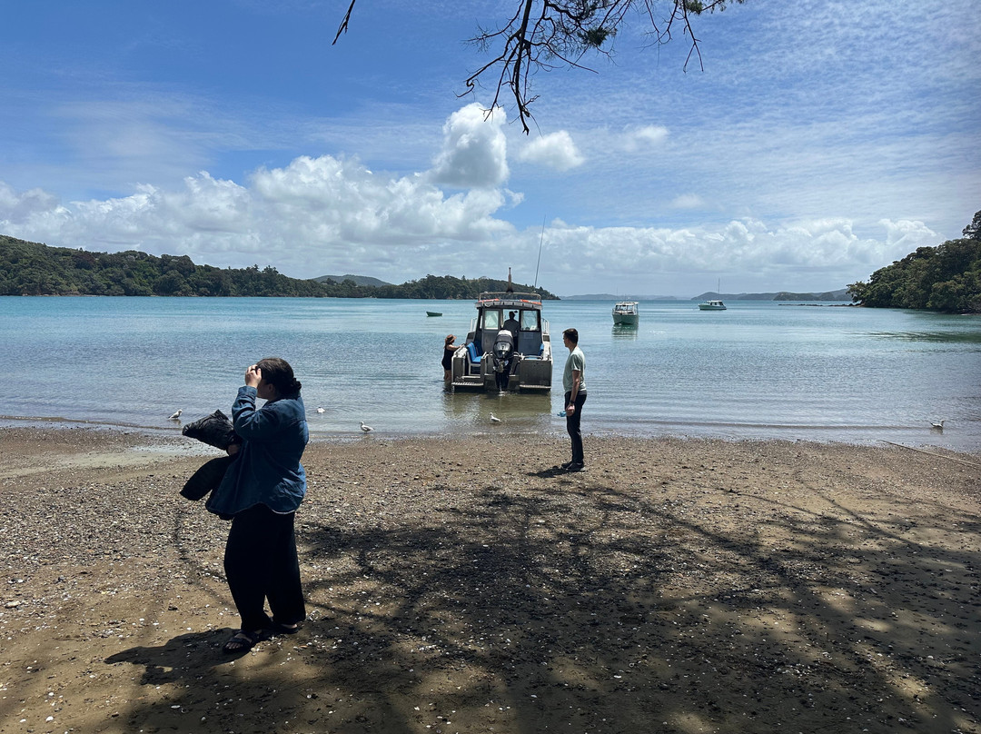 Bay of Islands Water Taxi-Bay of Islands必去景点