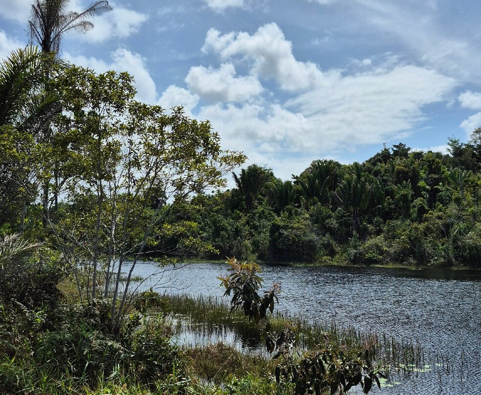 Serra do Conduru State Park-Urucuca必去景点