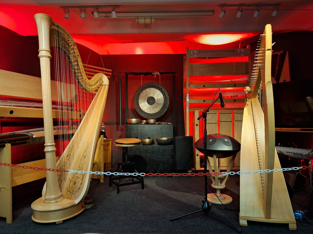 Luc Vanlaere Harpist - Harp Museum-布鲁日必去景点