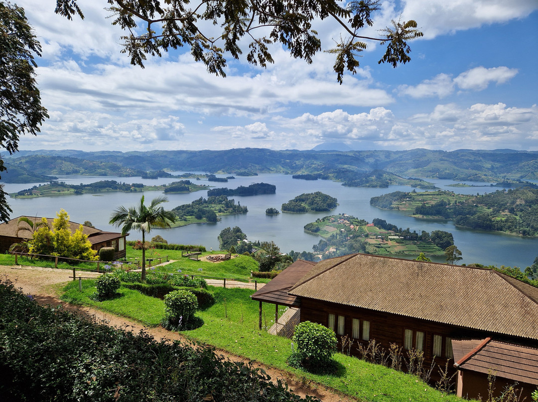 Gorilla Tour Booking Safaris-坎帕拉必去景点