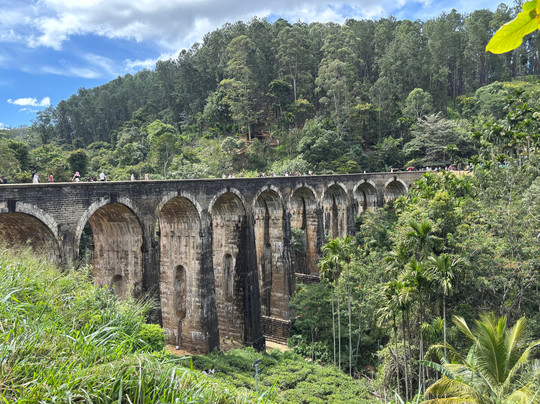 R.N Focus Tours-Katana必去景点