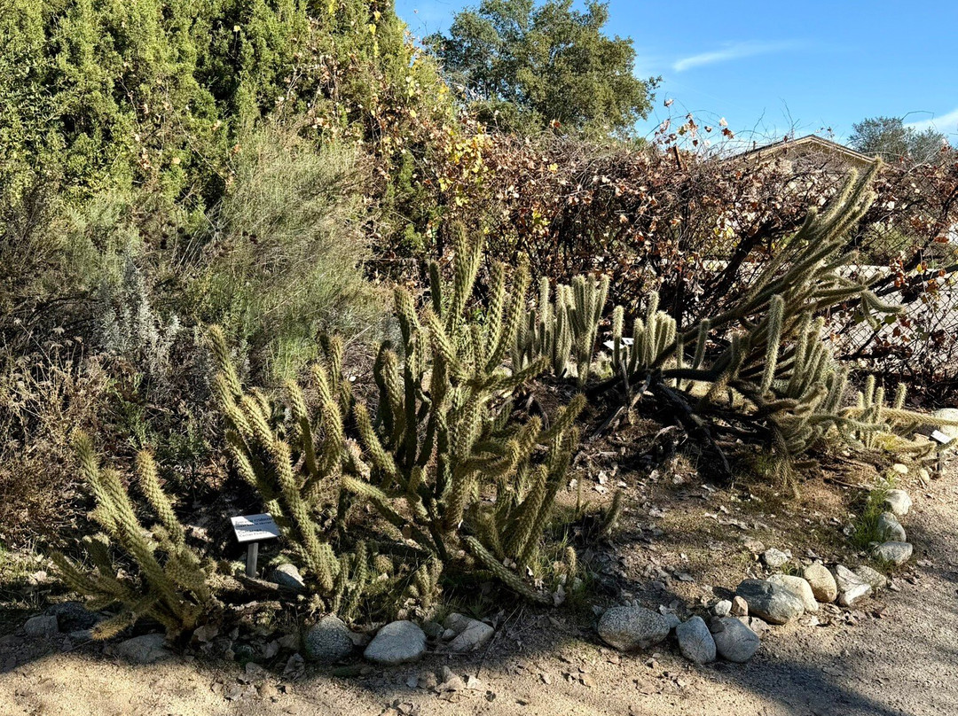 圣塔安那农场植物园-克莱蒙特必去景点