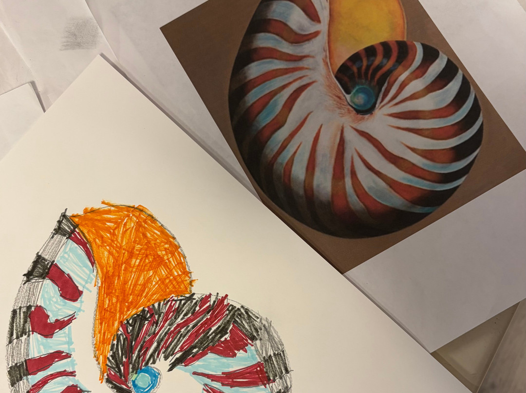 Luna Nguyen Atelier-阿尔梅勒必去景点