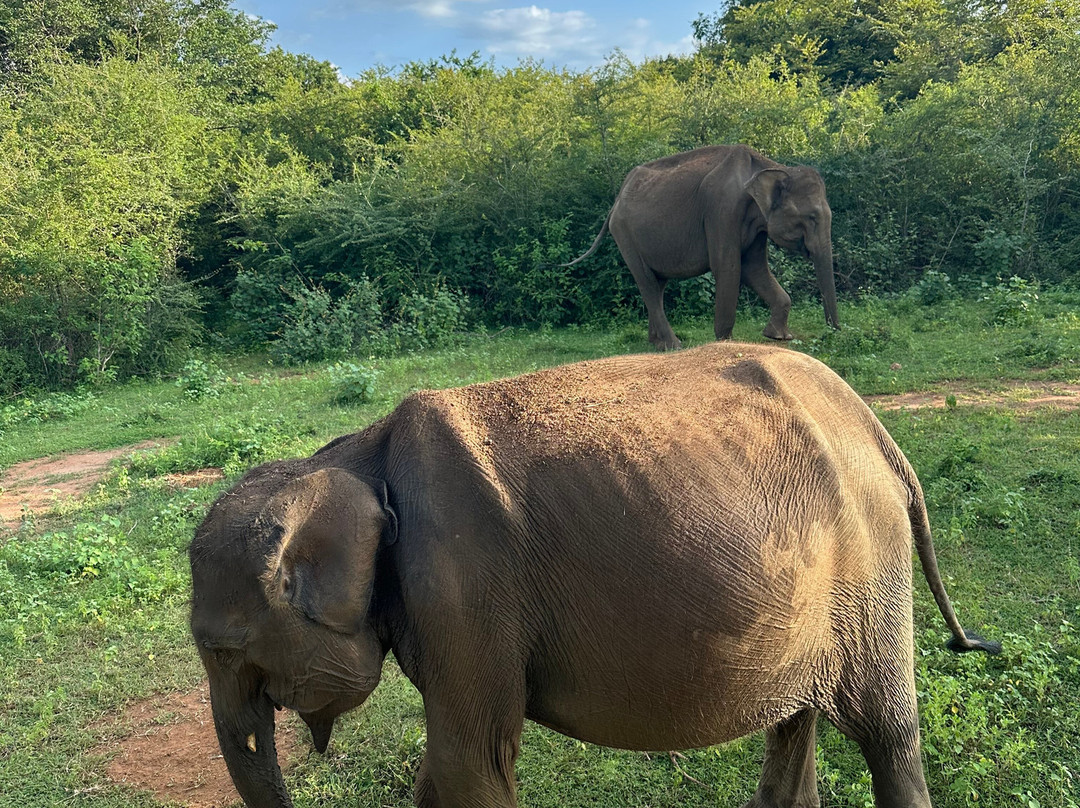 Travel With Asanka-康提必去景点