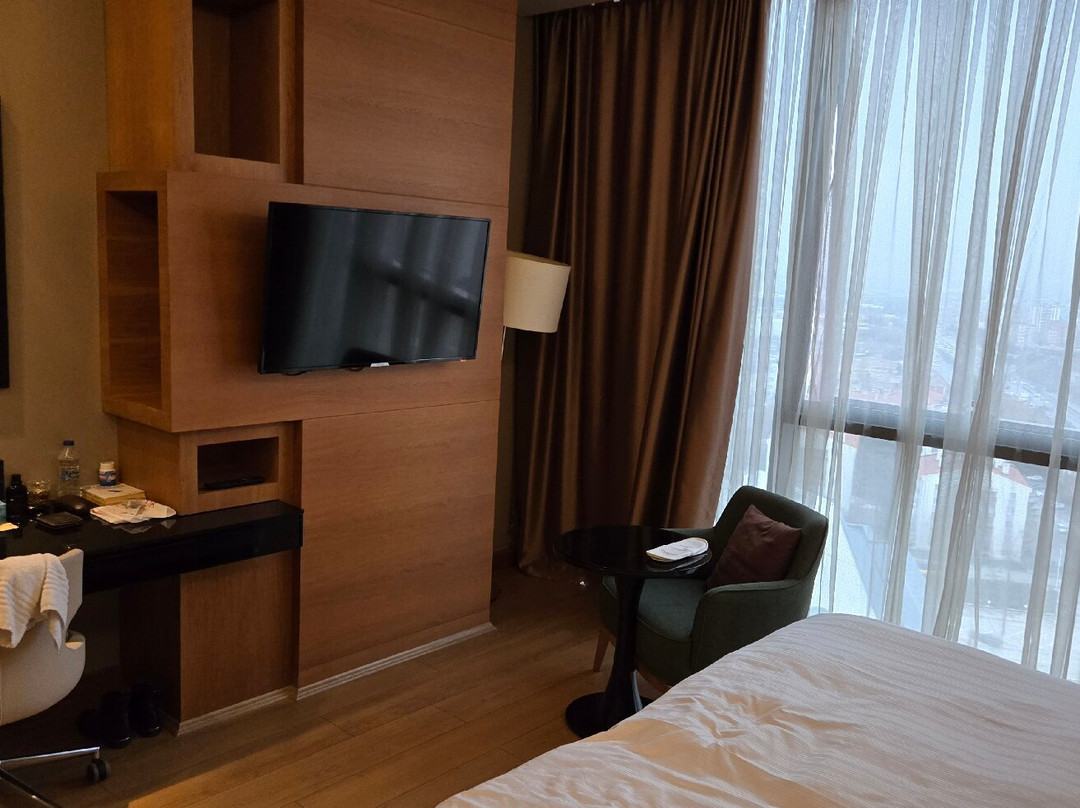 Ramada Plaza By Wyndham Konya主图