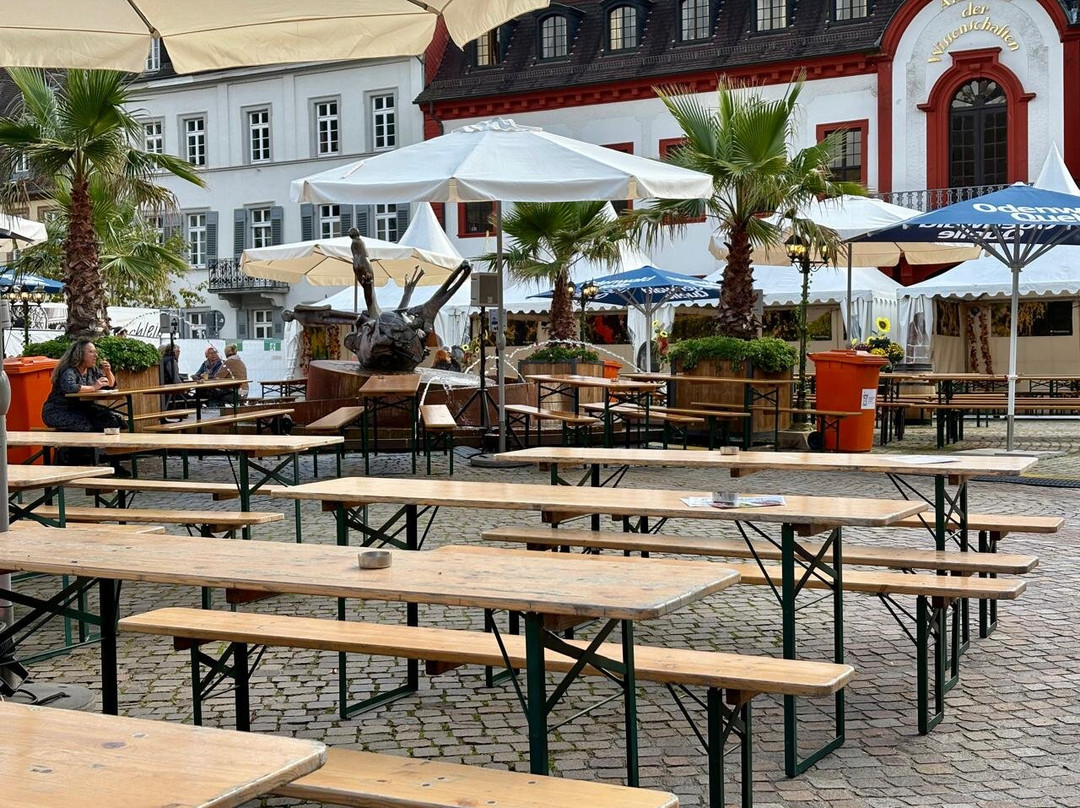 Carl's Square (Karlsplatz)-海德尔堡必去景点