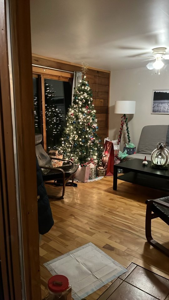 Mersey River Chalets and Nature Retreat-官方