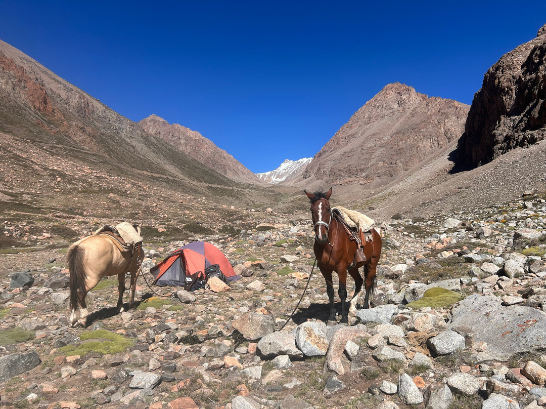 Trekking Travel Expediciones-门多萨必去景点