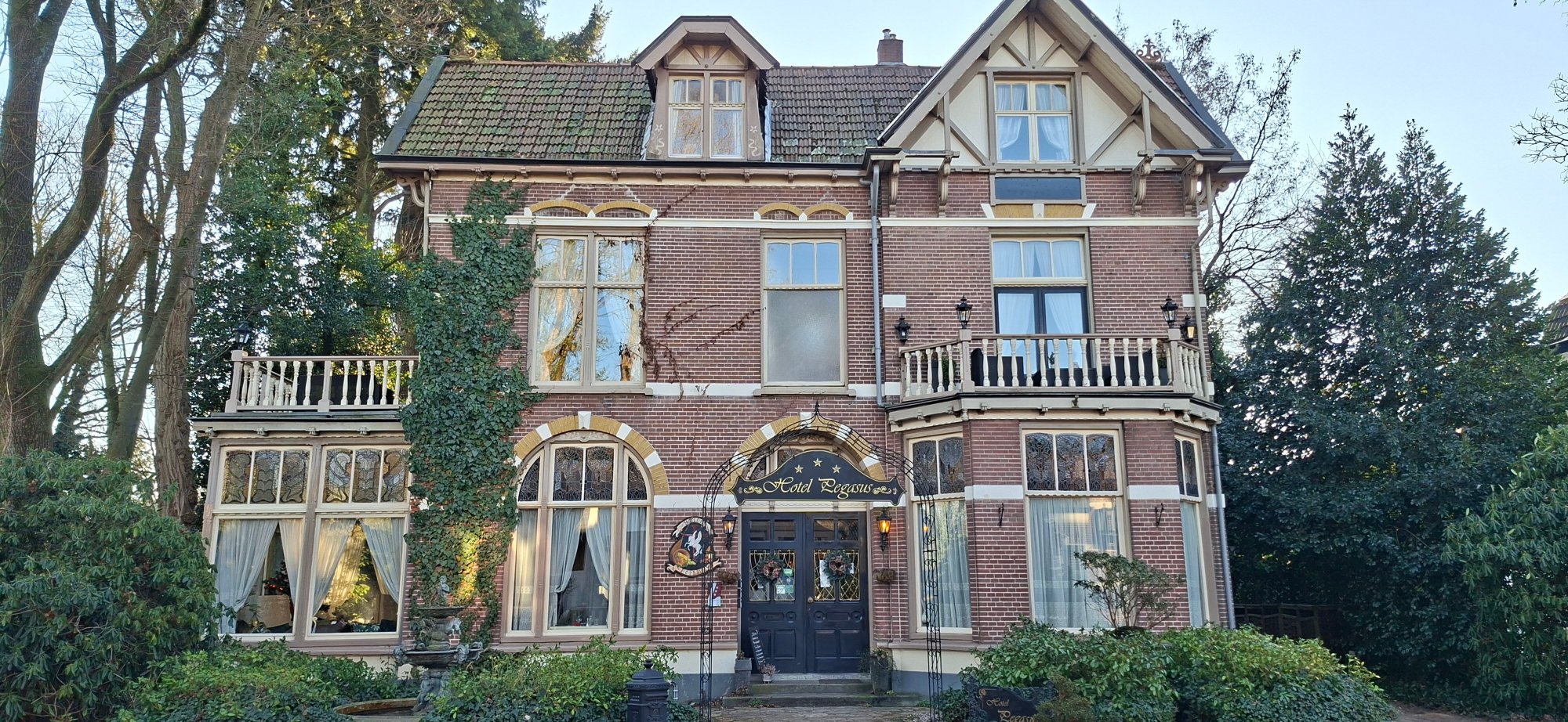 天马大酒店-官方