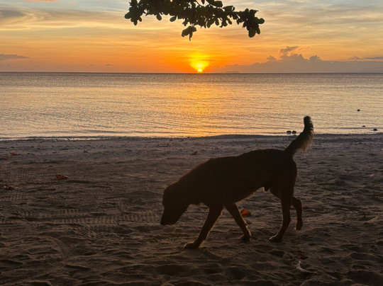 Tourismo Filipino Inc.-马卡蒂必去景点