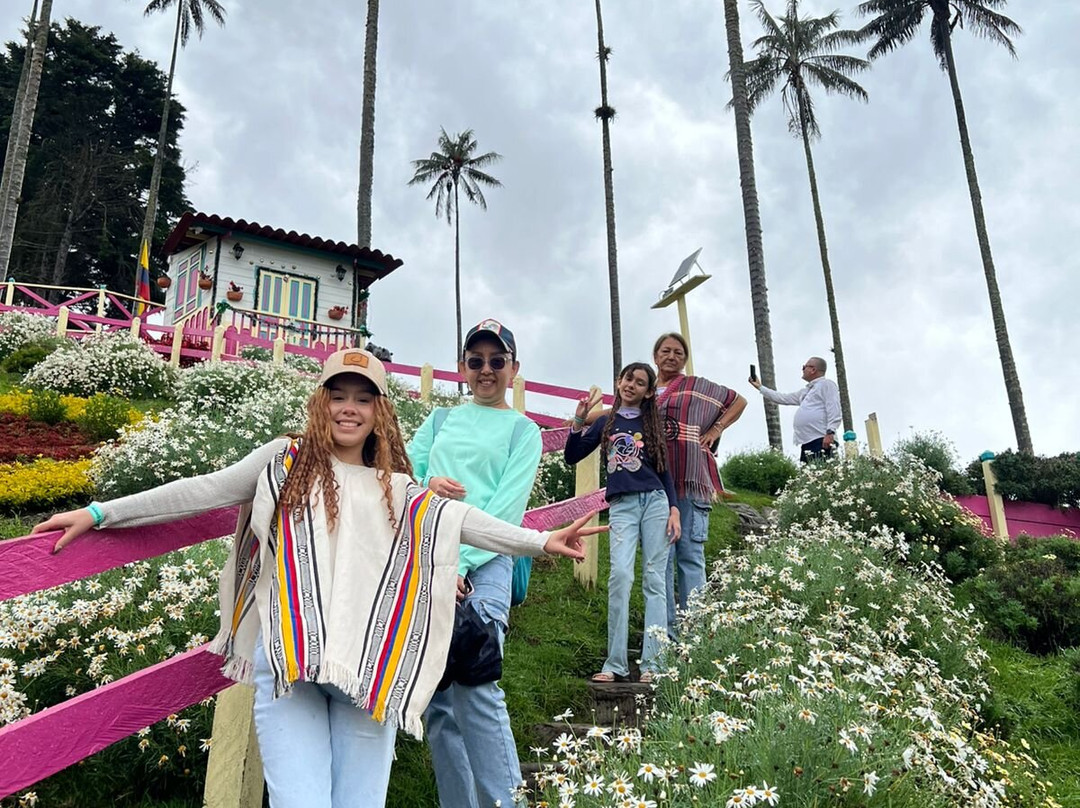 Magic Tours del Café-亚美尼亚必去景点