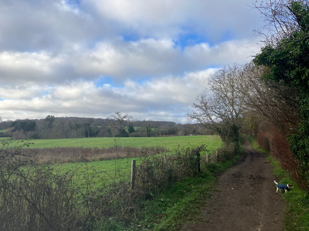 Ightham Mote Estate Walking Trails-Ightham必去景点