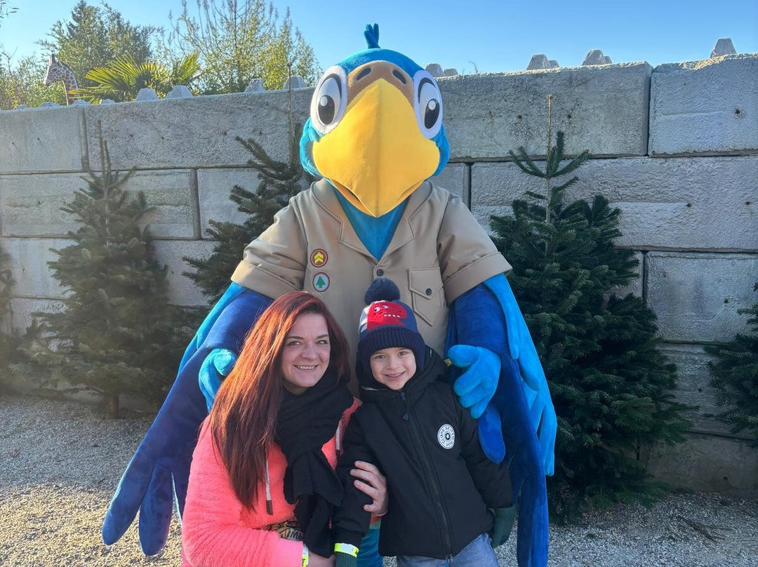 Jungle City-图尔奈必去景点