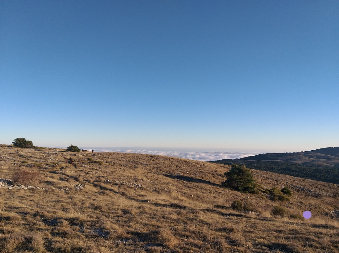 Observatoire de la Côte d’Azur  Calern-Saint-Vallier-de-Thiey必去景点